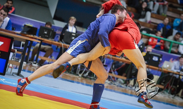 European sambo Championship 2015. Results of the second day