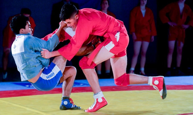 What winners of the President`s SAMBO Cup in London were talking about