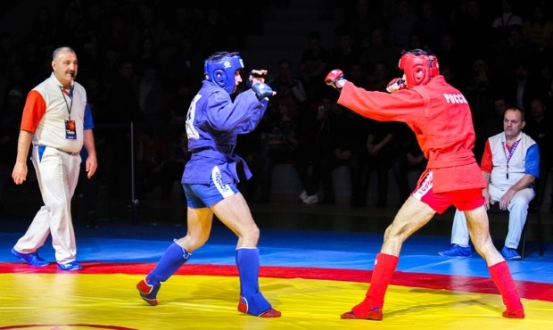Russian combat sambo wrestlers revealed the winners