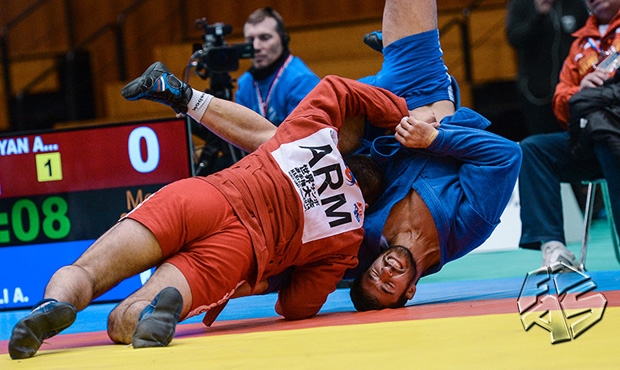 Moments of Sambo in 2014 [VIDEO]